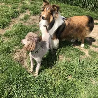 processed/0ef299df-9180-4108-b522-479b51363630/facility/dbbd98ee-d19a-4ee7-ba8c-67e4a75070a2