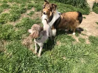 processed/0ef299df-9180-4108-b522-479b51363630/facility/dbbd98ee-d19a-4ee7-ba8c-67e4a75070a2