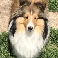 processed/0ef299df-9180-4108-b522-479b51363630/facility/fc7bdd36-d940-494a-8680-6563b1c3a063