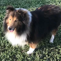 processed/0ef299df-9180-4108-b522-479b51363630/facility/ff6fb167-8e6e-4fbb-95fc-a918a0f6674a