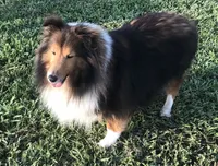 processed/0ef299df-9180-4108-b522-479b51363630/facility/ff6fb167-8e6e-4fbb-95fc-a918a0f6674a