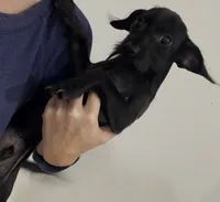 processed/0ef9d988-d8de-491d-9f5f-a08d0f3519db/listing/337c909f-ecd4-47b9-8231-50caa08b8de8/4767e741-ba0c-4ad8-981b-7b0149f1937f