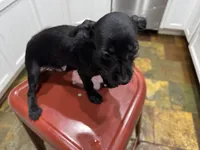 processed/0ef9d988-d8de-491d-9f5f-a08d0f3519db/listing/337c909f-ecd4-47b9-8231-50caa08b8de8/97d91b57-03b1-46dc-befa-1ead3e68f8fb