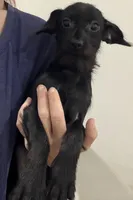 processed/0ef9d988-d8de-491d-9f5f-a08d0f3519db/listing/337c909f-ecd4-47b9-8231-50caa08b8de8/e84d1e42-cad0-4f5c-bb4f-3b6620dab671