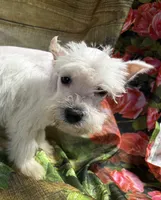 processed/0f0834d0-4bff-4841-826c-197664d9379d/listing/1bde2c3b-8ff3-4b7a-971b-96c594ccf0db/18ffd28d-f22d-489f-9bf7-4ec196c956f0