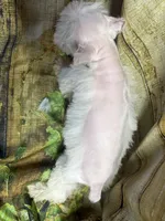 processed/0f0834d0-4bff-4841-826c-197664d9379d/listing/1bde2c3b-8ff3-4b7a-971b-96c594ccf0db/1baf39ab-172e-420c-a076-3a7f6aaa7260