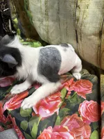 processed/0f0834d0-4bff-4841-826c-197664d9379d/listing/4339a7a9-d676-4594-b8be-ec823036577f/67b46dea-e541-4a48-9905-7290589c474c