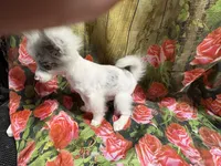 processed/0f0834d0-4bff-4841-826c-197664d9379d/listing/66c42781-6465-41ec-8cef-6534a639abdf/c6988b68-4fc7-45c0-8316-0615e6350c70