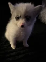 processed/0f0834d0-4bff-4841-826c-197664d9379d/listing/66c42781-6465-41ec-8cef-6534a639abdf/efafb29d-8d30-4703-aa7f-0e0f8fe40b92