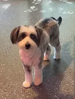 processed/0f0834d0-4bff-4841-826c-197664d9379d/listing/f398a573-8c47-473d-9dcd-fcf9d7dc910d/902d87f8-998d-4938-9242-bce25237e53c