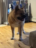 processed/0f0f32bf-be02-4781-96d0-5ad35c429e1b/listing/4f4f2dfa-0ce5-4f26-b22c-49dfa7ac6059/34c127d1-9049-4a8d-86b8-b9a76e6490fb