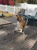 processed/0f0f32bf-be02-4781-96d0-5ad35c429e1b/listing/4f4f2dfa-0ce5-4f26-b22c-49dfa7ac6059/6312ccdd-5a71-4b8a-8d0e-5da95c60da0e