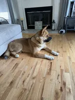 processed/0f0f32bf-be02-4781-96d0-5ad35c429e1b/listing/4f4f2dfa-0ce5-4f26-b22c-49dfa7ac6059/96962655-f024-4d02-99fa-f121891c7e77