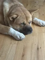 processed/0f0f32bf-be02-4781-96d0-5ad35c429e1b/listing/4f4f2dfa-0ce5-4f26-b22c-49dfa7ac6059/afa23944-19a7-40b4-a04f-717efa9ca513