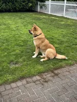 processed/0f0f32bf-be02-4781-96d0-5ad35c429e1b/listing/4f4f2dfa-0ce5-4f26-b22c-49dfa7ac6059/b70b7015-17b2-4ef7-a52b-05294b794e66