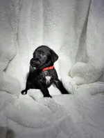 processed/0f0fd70c-6a40-48de-99cb-dfcfc4bd8c3e/listing/4d2403cf-7ff4-4816-897b-8efe0fba0248/8330c014-325f-44da-b088-5ac3b17dae6a