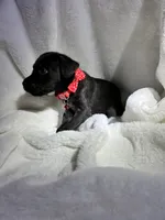 processed/0f0fd70c-6a40-48de-99cb-dfcfc4bd8c3e/listing/4d2403cf-7ff4-4816-897b-8efe0fba0248/9ceed33e-3667-443d-ae44-20d903f4de38