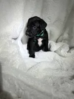 processed/0f0fd70c-6a40-48de-99cb-dfcfc4bd8c3e/listing/baad6e2f-84b4-49d2-ab0e-5ae7ea25ab14/88a76d2f-29c6-4a72-93ab-2b252b98d7b6