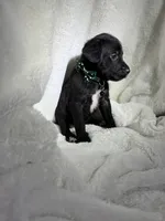 processed/0f0fd70c-6a40-48de-99cb-dfcfc4bd8c3e/listing/baad6e2f-84b4-49d2-ab0e-5ae7ea25ab14/f79e9b13-18ca-46b3-ab19-63d435d6f2e8