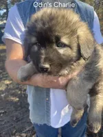 processed/0f184a9e-b919-4e09-8bb5-7b8dc1387447/listing/76fe6545-d974-47c1-a6df-ddf60bc11732/0c66c48a-c406-4399-a6fa-7acb8c55907a