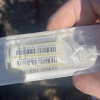 Odin's Charlie, a male Sarplaninac for sale in Terlton, OK – Photo 6 of 6