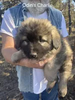 processed/0f184a9e-b919-4e09-8bb5-7b8dc1387447/listing/76fe6545-d974-47c1-a6df-ddf60bc11732/69e85258-6a2d-4a3d-82a3-dc167ef12da6