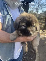 processed/0f184a9e-b919-4e09-8bb5-7b8dc1387447/listing/76fe6545-d974-47c1-a6df-ddf60bc11732/a37538b6-d0e4-4d5f-a5c6-82126f2a4e28