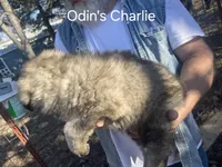 processed/0f184a9e-b919-4e09-8bb5-7b8dc1387447/listing/76fe6545-d974-47c1-a6df-ddf60bc11732/dc3abccc-9017-497b-9f1e-8a202533253f