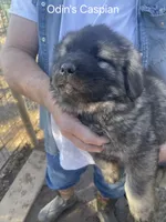 processed/0f184a9e-b919-4e09-8bb5-7b8dc1387447/listing/c652628c-1403-45a0-893a-f2e4def09550/70096a1b-abb1-4297-9d7a-a1c543c9854b