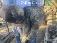 processed/0f184a9e-b919-4e09-8bb5-7b8dc1387447/listing/c652628c-1403-45a0-893a-f2e4def09550/a8189a4a-c8f7-4da0-a040-22bd0738dd58