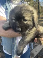 processed/0f184a9e-b919-4e09-8bb5-7b8dc1387447/listing/d8b70851-c68b-4826-8c4e-3353715a97f4/2b318b07-12bb-4b0e-8efe-46b68e4ae67e