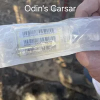 Odin's Caesar, a male Sarplaninac for sale in Terlton, OK – Photo 6 of 6