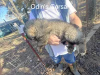 processed/0f184a9e-b919-4e09-8bb5-7b8dc1387447/listing/d8b70851-c68b-4826-8c4e-3353715a97f4/86c349c4-4e0d-4ed5-b5c6-95a04e153cfd