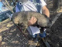 processed/0f184a9e-b919-4e09-8bb5-7b8dc1387447/listing/d8b70851-c68b-4826-8c4e-3353715a97f4/ce01bbf6-c0f1-4351-8da9-5bb59d5adda8