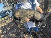 processed/0f184a9e-b919-4e09-8bb5-7b8dc1387447/listing/d8b70851-c68b-4826-8c4e-3353715a97f4/fbee584d-ef9b-4ca2-a1de-b870b1ed7483