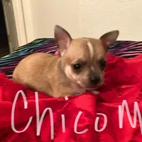 processed/0f1cd27c-c8a1-4a52-908a-3b5c8b249fb8/facility/4c5daecb-f470-4772-bf8f-44554ea0aaaa