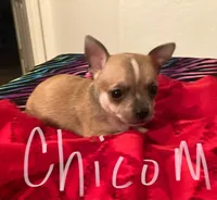 processed/0f1cd27c-c8a1-4a52-908a-3b5c8b249fb8/facility/4c5daecb-f470-4772-bf8f-44554ea0aaaa