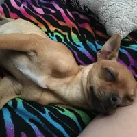 processed/0f1cd27c-c8a1-4a52-908a-3b5c8b249fb8/facility/7ed9c1b4-cbfd-47b9-a971-58dfc84f09b1