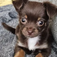 processed/0f1cd27c-c8a1-4a52-908a-3b5c8b249fb8/facility/92f38892-cf9e-4144-974b-659d8261c77a