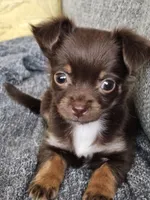 processed/0f1cd27c-c8a1-4a52-908a-3b5c8b249fb8/facility/92f38892-cf9e-4144-974b-659d8261c77a