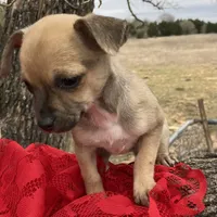 processed/0f1cd27c-c8a1-4a52-908a-3b5c8b249fb8/facility/d459cf33-65d1-4d65-afef-68fceb2dd646