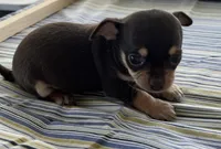 processed/0f1cd27c-c8a1-4a52-908a-3b5c8b249fb8/listing/31aed80b-9902-42eb-a2b7-e7aa4e8dd145/1e100fce-c80f-4b2f-a451-510a50e1c713