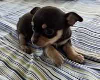 processed/0f1cd27c-c8a1-4a52-908a-3b5c8b249fb8/listing/31aed80b-9902-42eb-a2b7-e7aa4e8dd145/2fea620b-823d-4bcf-bc3f-390d4ab2dba1