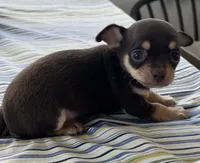 processed/0f1cd27c-c8a1-4a52-908a-3b5c8b249fb8/listing/31aed80b-9902-42eb-a2b7-e7aa4e8dd145/bbf4feef-20cb-4b90-87d2-123e87556e8d