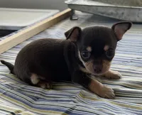 processed/0f1cd27c-c8a1-4a52-908a-3b5c8b249fb8/listing/31aed80b-9902-42eb-a2b7-e7aa4e8dd145/d6daa80b-c25c-418a-82e3-792e792d8904