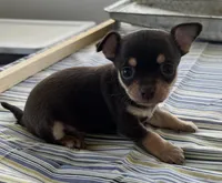 processed/0f1cd27c-c8a1-4a52-908a-3b5c8b249fb8/listing/31aed80b-9902-42eb-a2b7-e7aa4e8dd145/e75c5f8e-912b-43de-8e8c-5c8d138ee58f