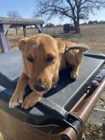 processed/0f1cd27c-c8a1-4a52-908a-3b5c8b249fb8/listing/ed072a18-7923-4020-ad26-70314019eed6/39ef1855-fd60-4a80-96f4-a9c6d9d91c73