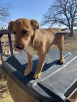 processed/0f1cd27c-c8a1-4a52-908a-3b5c8b249fb8/listing/ed072a18-7923-4020-ad26-70314019eed6/4c4e91ec-96d4-4027-8b6e-8666d86f6b99