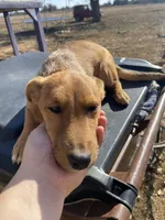 processed/0f1cd27c-c8a1-4a52-908a-3b5c8b249fb8/listing/ed072a18-7923-4020-ad26-70314019eed6/78570069-109f-4928-8c2f-d458b08e5ffc