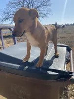 processed/0f1cd27c-c8a1-4a52-908a-3b5c8b249fb8/listing/ed072a18-7923-4020-ad26-70314019eed6/943d1bfb-817a-447f-bb64-c9e29871e24c